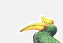 Batang kayu seraya