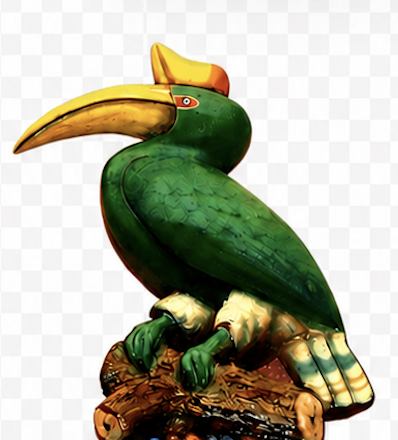 Burung enggang